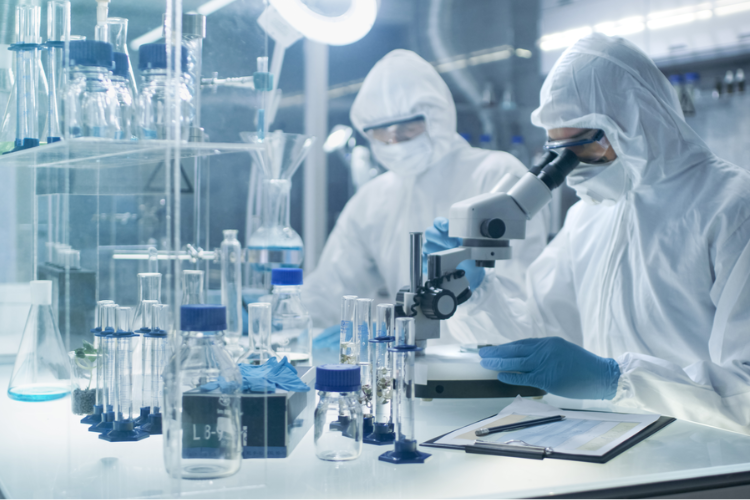 藥品質(zhì)量標(biāo)準(zhǔn)體系！