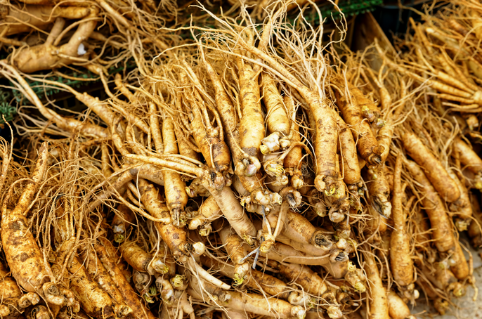 解析中藥藥效核心：入血成分分析助力中醫(yī)藥現(xiàn)代化發(fā)展！